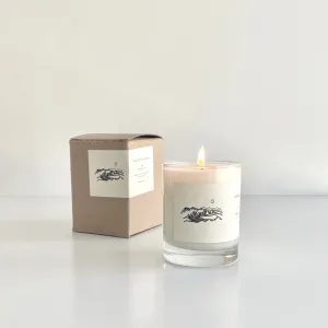 Land - Cedar, Sage, and Grass Soy Candle; 7oz