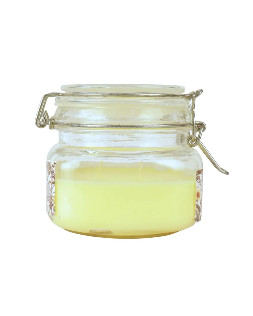 Long-Lasting Double Wick with Extended Burn Glass Jar Candles | 4 x 6 inches