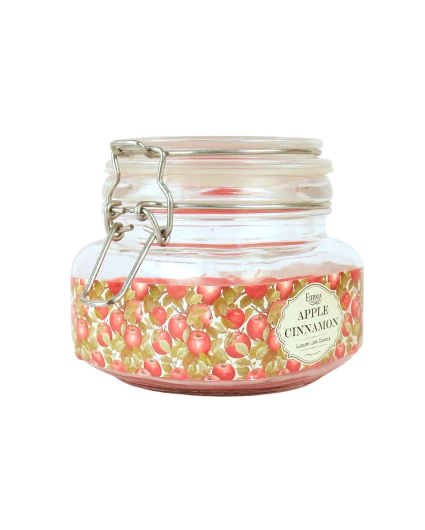 Long-Lasting Double Wick with Extended Burn Glass Jar Candles | 4 x 6 inches